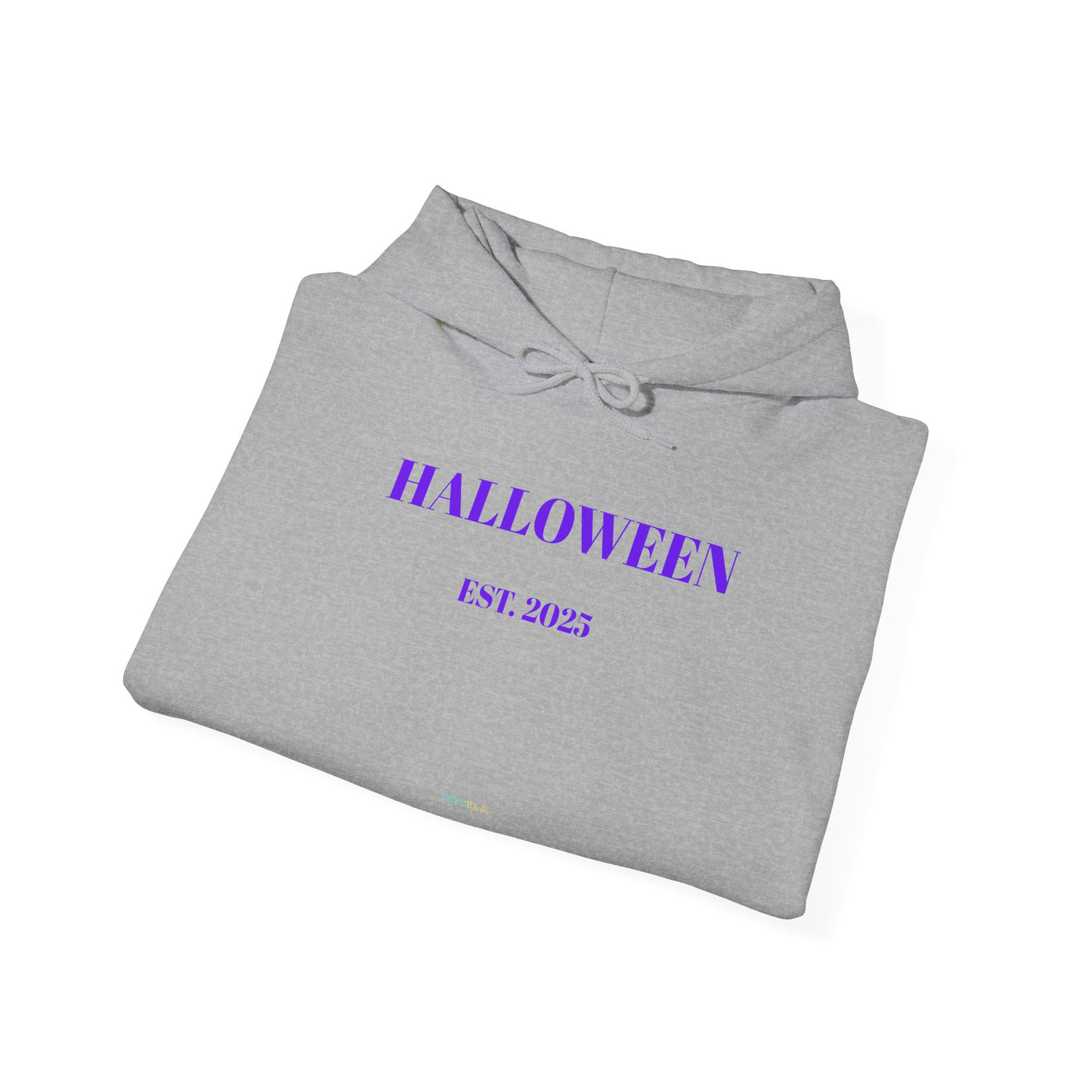 Halloween Est 2025 Unisex Hoodie