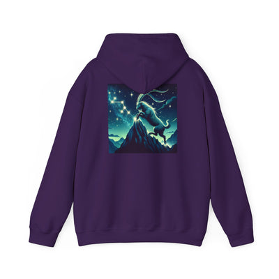 Capricorn Woman Hoodie – Zodiac Astrology Sweatshirt for Astrology Lovers
