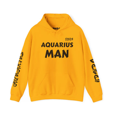 IBHB4 "Aquarius" Hoodie