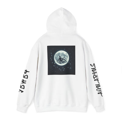 IBHB4 "Aquarius" Hoodie