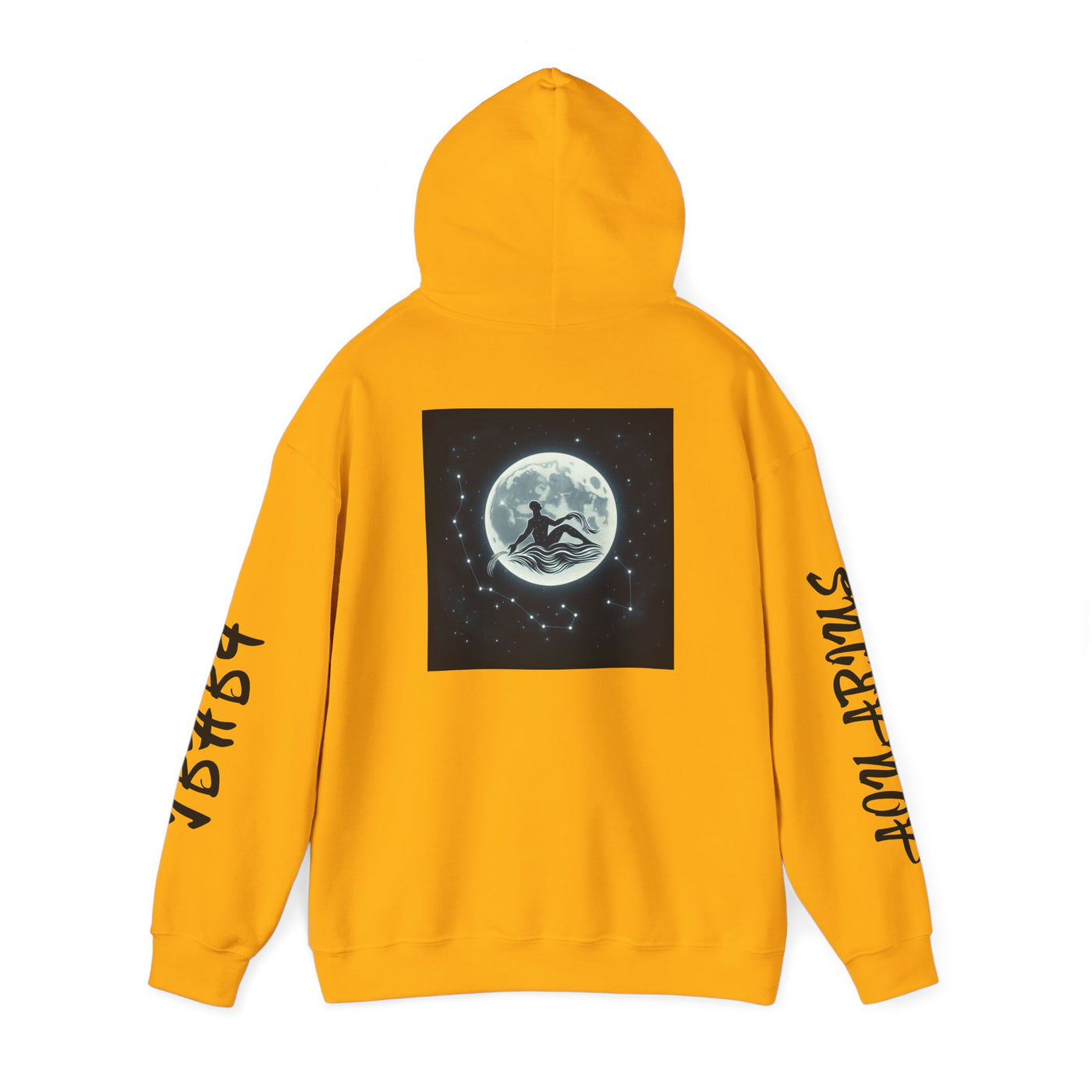 IBHB4 "Aquarius" Hoodie