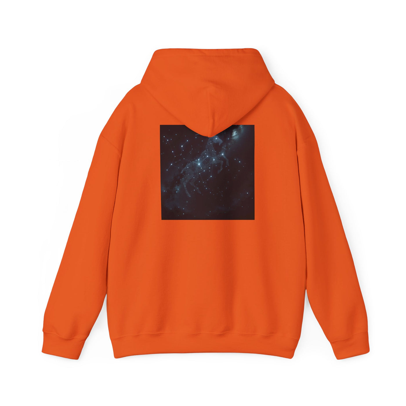Capricorn Woman Hoodie – Zodiac Astrology Sweatshirt for Astrology Lovers